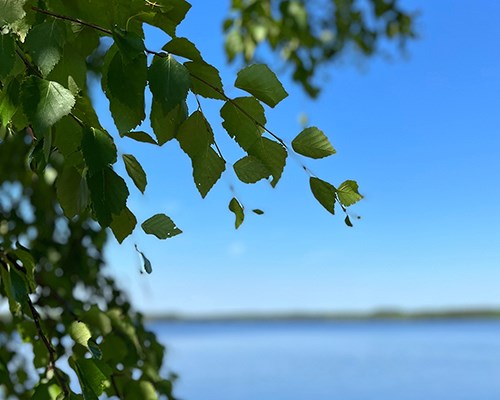 Mirkan Pietarsaaren tehtaan uusi geoenergiaratkaisu vähentää hiilidioksidipäästöjä