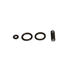 O-Ring and Valve Spring Kit for AP and AOS, 1/Pkg