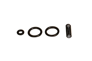 O-Ring and Valve Spring Kit for AP and AOS, 1/Pkg