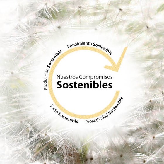 Mirka<sup>®</sup> ha publicado su Informe de Sostenibilidad 2020